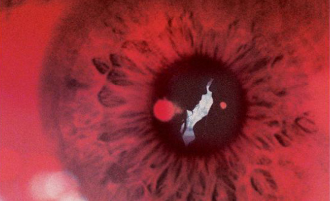 Simon Killer review in Fangoria!